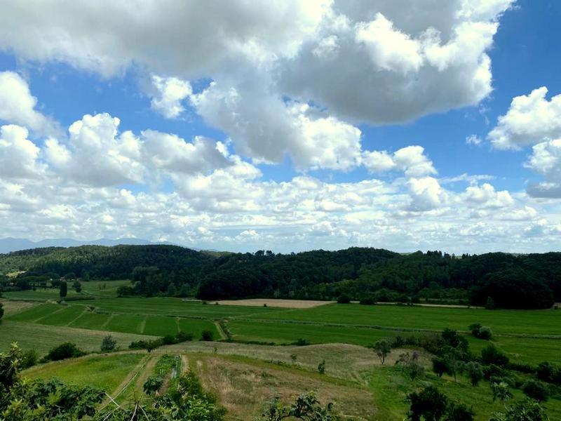 Agriturismo Fonte Belvedere Lägenhet Collesalvetti Exteriör bild