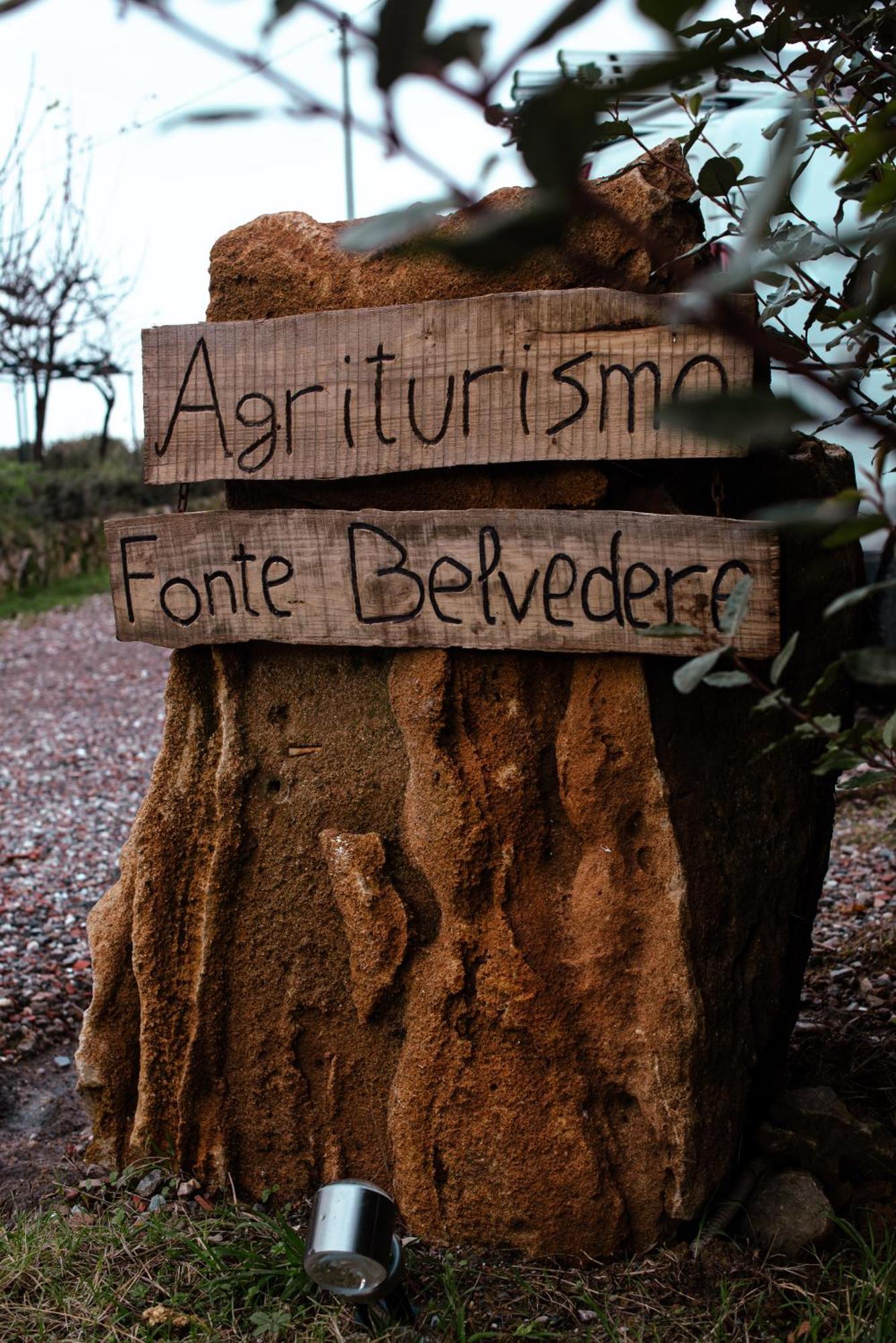 Agriturismo Fonte Belvedere Lägenhet Collesalvetti Exteriör bild